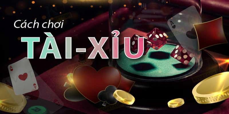 Luật chơi game Tài Xỉu FM88 cơ bản dành cho newbie